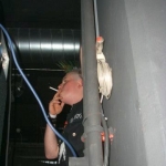 waerters_schlechte-2005-islikon-19.jpg