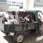 waerters_schlechte-2006-gartenkonzert-36.jpg